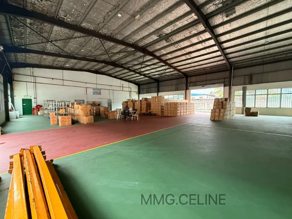 WhatsApp Image 2026-01-04 at 7.53.59 PM.webp