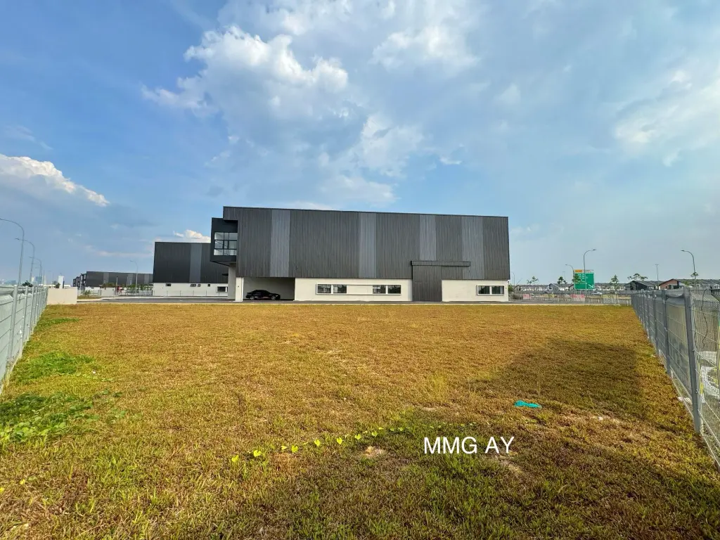 WhatsApp Image 2026-01-12 at 2.00.29 PM.webp