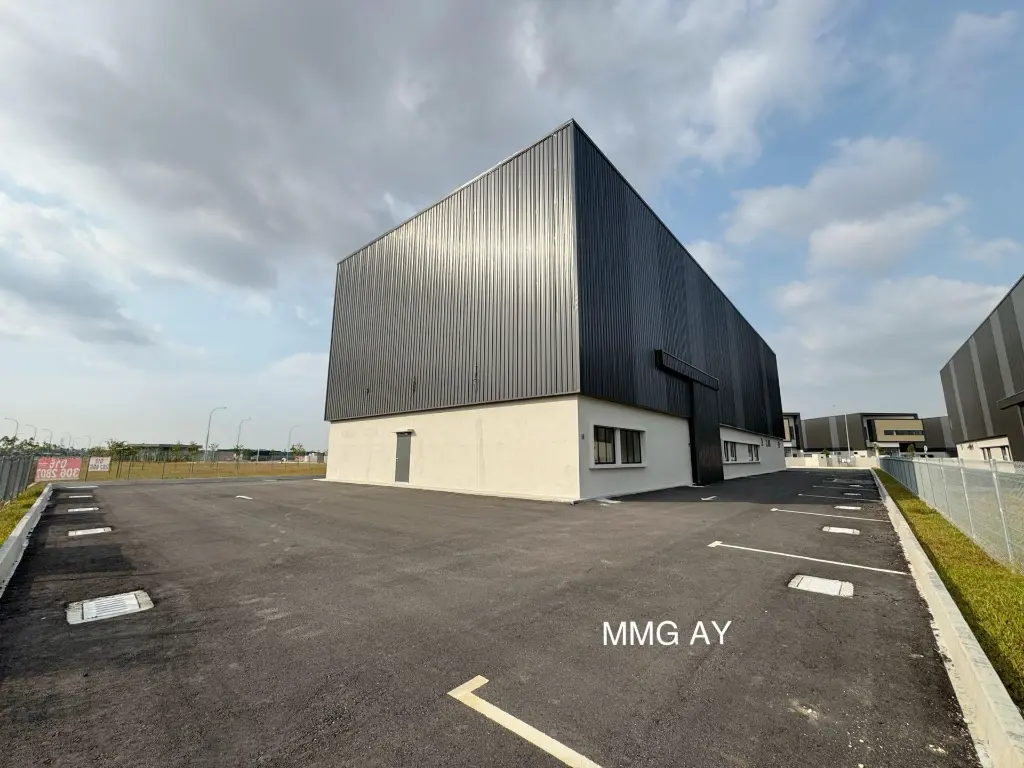 WhatsApp Image 2026-01-12 at 2.00.31 PM.webp