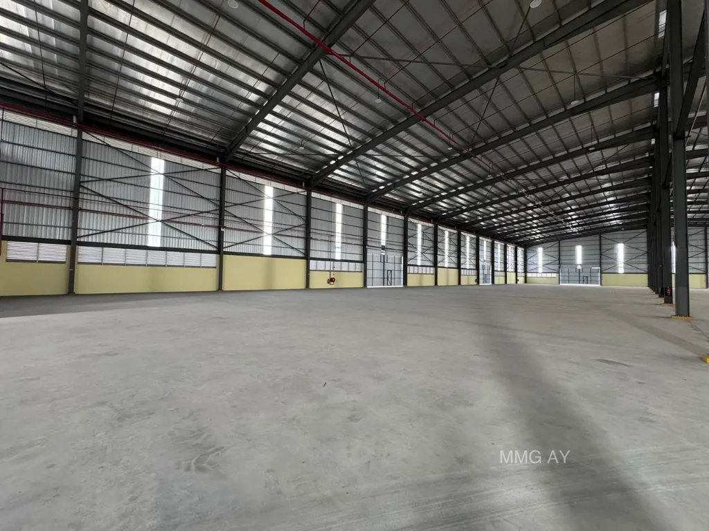 WhatsApp Image 2026-01-29 at 3.16.11 PM.webp