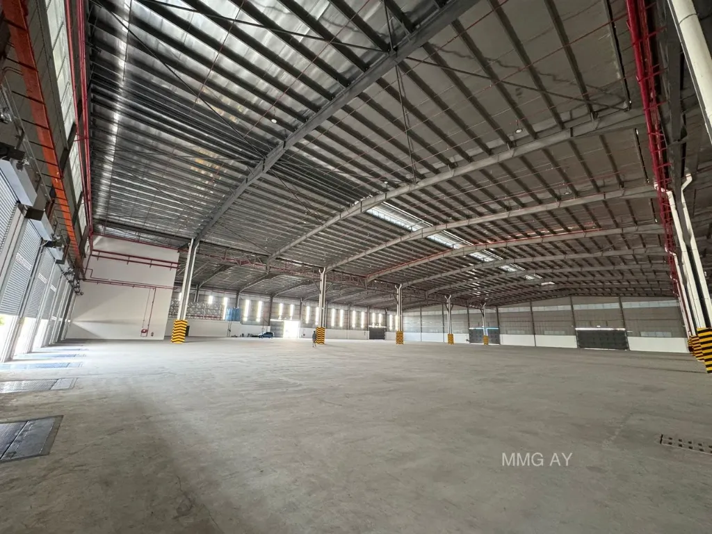 WhatsApp Image 2026-01-29 at 3.15.35 PM.webp