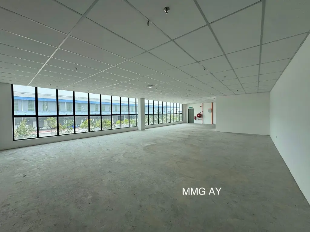 WhatsApp Image 2025-07-29 at 11.15.44 AM (1).webp