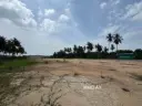 【可议价】Kampung Perepat @ Kapar 3 英亩土地出租