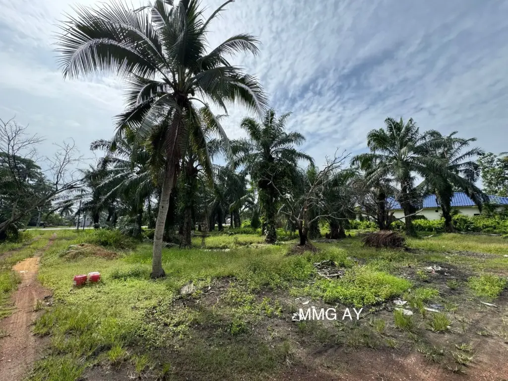 【2.16 Acre】Jeram @ Kuala Selangor Beside Mainroad Agricultural Land For Sale