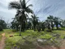 【2.16 Acre】Jeram @ Kuala Selangor Beside Mainroad Agricultural Land For Sale