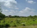  【可议价】 巴生 Kapar Batu 7 农业地出售