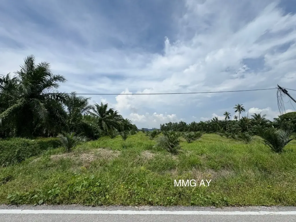 【 2.23 英亩 大路旁 】 Kampung Perepat @ Kapar  农业地出售