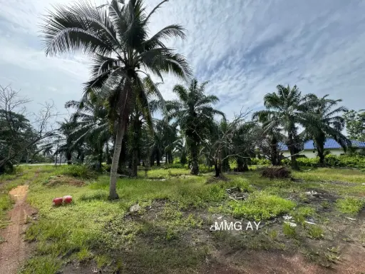 [10792] 【2.16 Acre】Jeram @ Kuala Selangor Beside Mainroad Agricultural Land For Sale