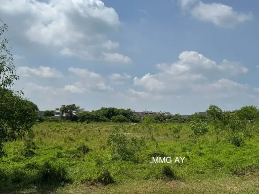 [10793] 【Negotiable】 Kapar Batu 7 @ Klang Agricultural Land for Sale