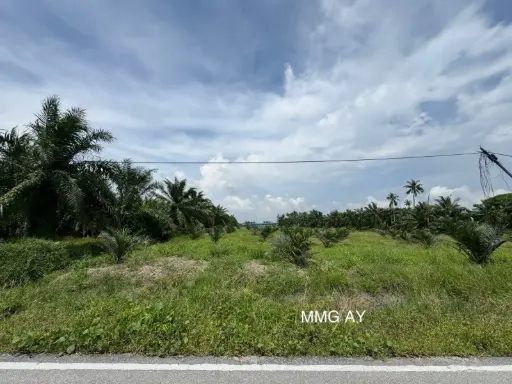 [10794] 【2.23 Acre Beside Mainroad】Kampung Perepat @ Kapar  Agricultural Land For Sale 